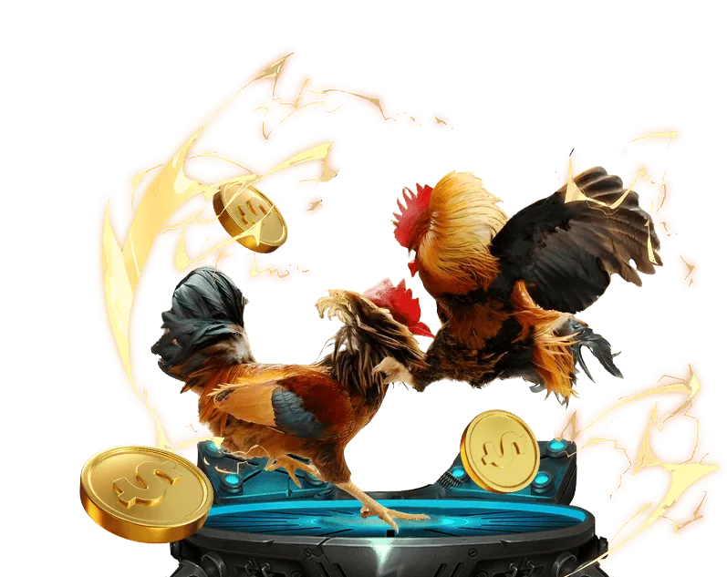 Phân tích dữ liệu và thống kê tại Ray Bet